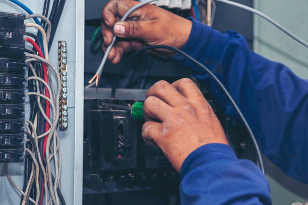 Best Local Electrician Companies  in Dousman, WI
